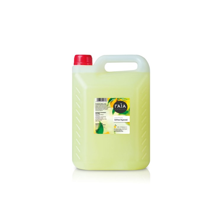 ΛΕΜΟΝΙ DRESSING 4LT