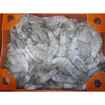 ΓΑΡΙΔΑ VANNAMEI 20/30 ΕΚΤΡΟΦΗΣ ECUADOR 3Χ4KG 