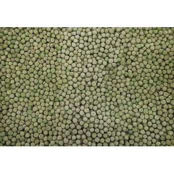 ΑΡΑΚΑΣ ΕΓΧΩΡΙΟΣ 1Χ10kg 