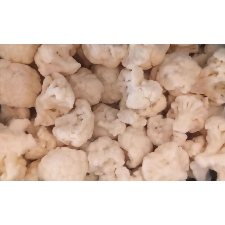 ΚΟΥΝΟΥΠΙΔΙ ΒΕΛΓΙΟΥ 1χ10kg
