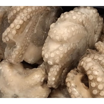 ΧΤΑΠΟΔΙ FAO 71 IQF 500-1000 ΧΥΜΑ  ΕΠΙΠ. 15%