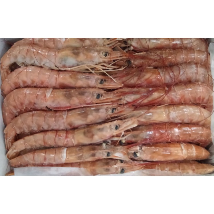 ΓΑΡΙΔΑ Νο-1 ΑΡΓΕΤΙΝΗΣ-ΙΣΠΑΝΙΑΣ S.F. 6χ2kg