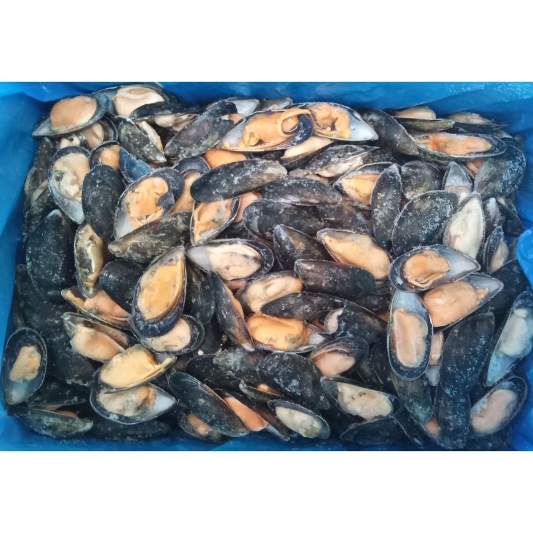 ΜΥΔΙ ΜΙΣΟ ΚΕΛΥΦΟΣ 60-80 ΧΙΛΗΣ 11Χ1kg