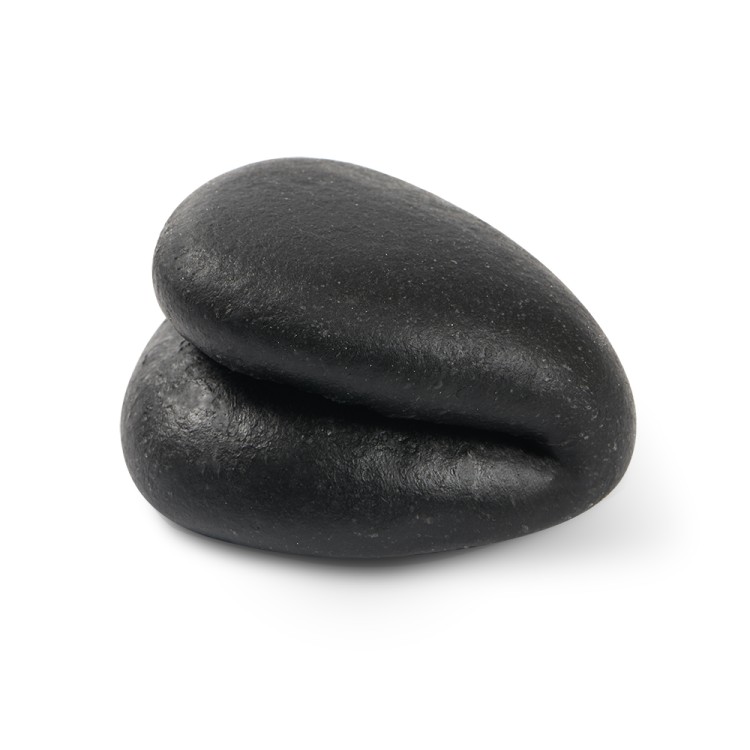 BAO BUN BLACK 40gr (60TEM/KIB)