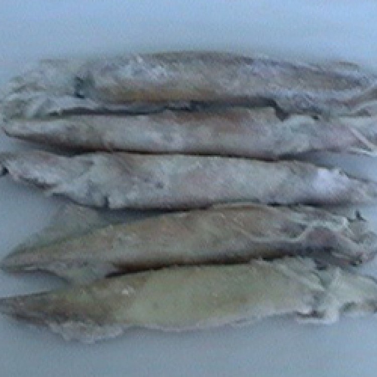 ΚΑΛΑΜΑΡΙ ΔΙΣΚ.ΠΑΤ/ΝΙΑΣ 800ΓΡ FAO41 (ΩΚΕΑΝ.)